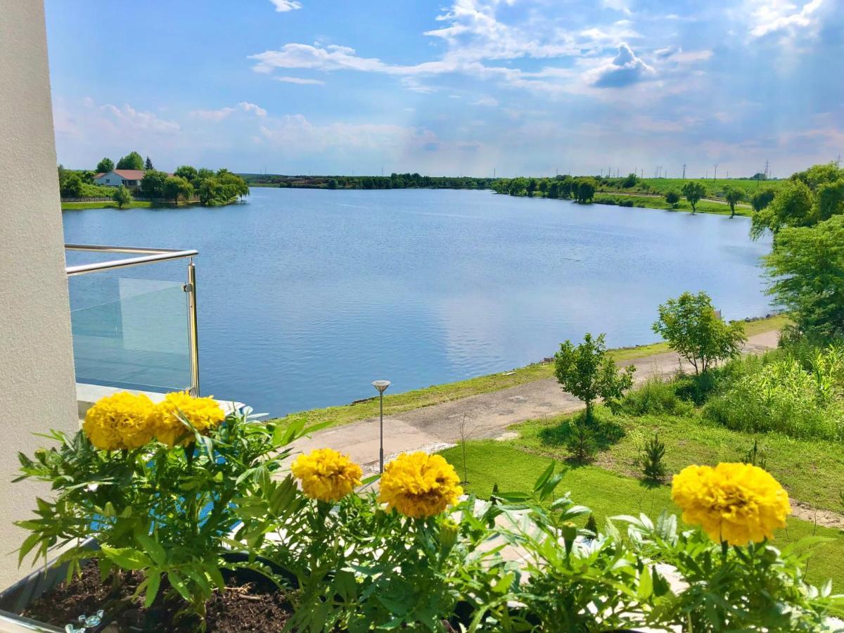 Snagov Lakeview Residences Tincabesti Exterior photo